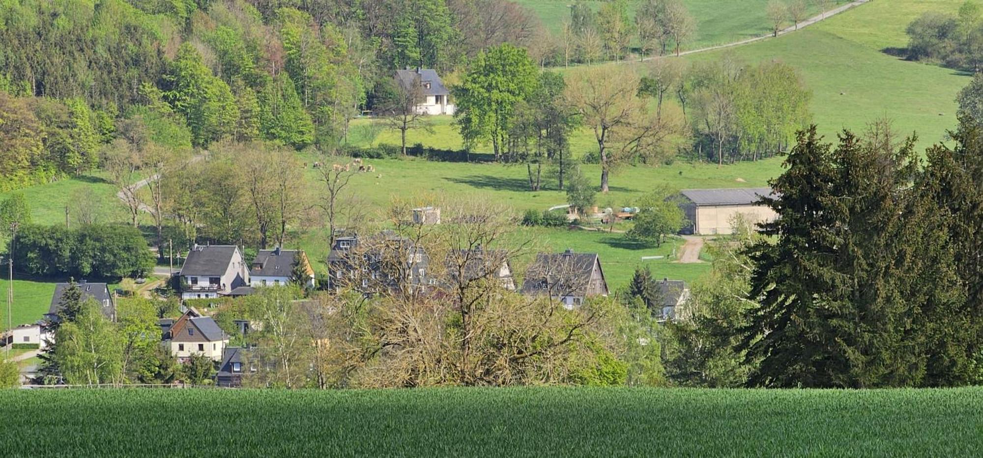 Ferienhaus-Wurzbach المظهر الخارجي الصورة